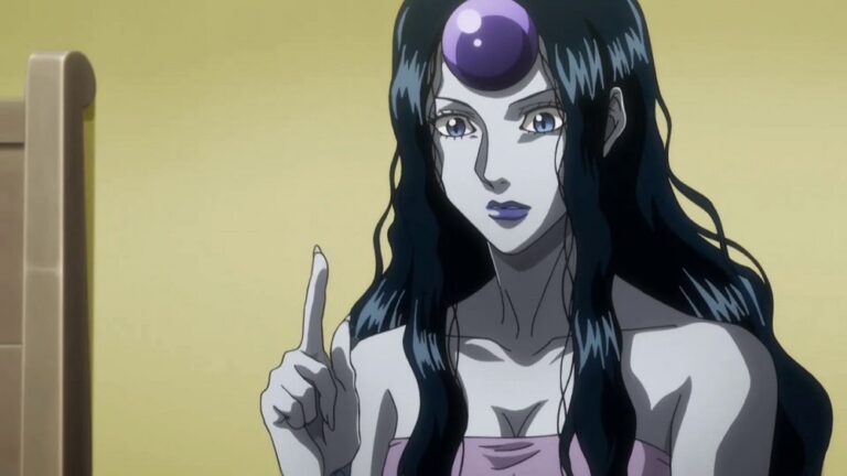 20 Hottest Hunter X Hunter Female Characters | Ricky Spears