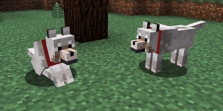 how-to-tame-a-wolf-in-minecraft-completed-guide-ricky-spears