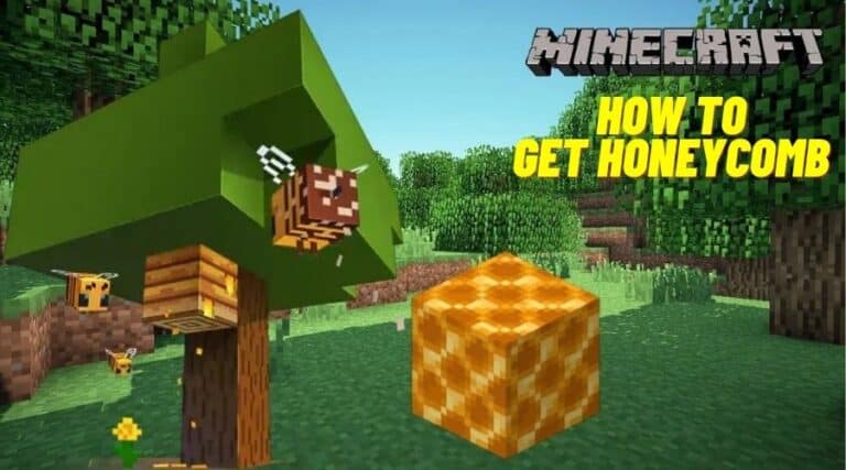 How To Get Honeycomb In Minecraft In 2023 Ricky Spears   Get Honeycomb In Minecraft 768x427 