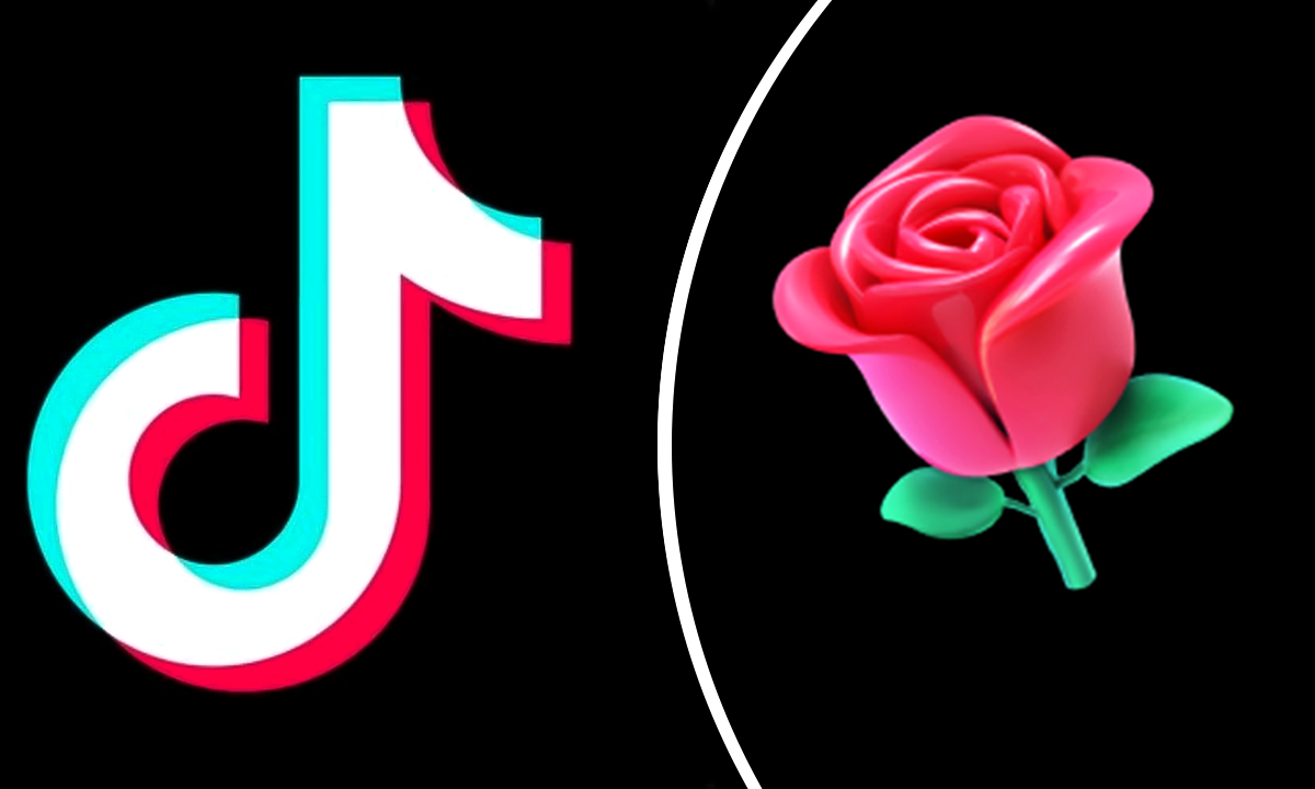 How Much Is A Rose On TikTok? [1 Coin/1.4 US Cents]