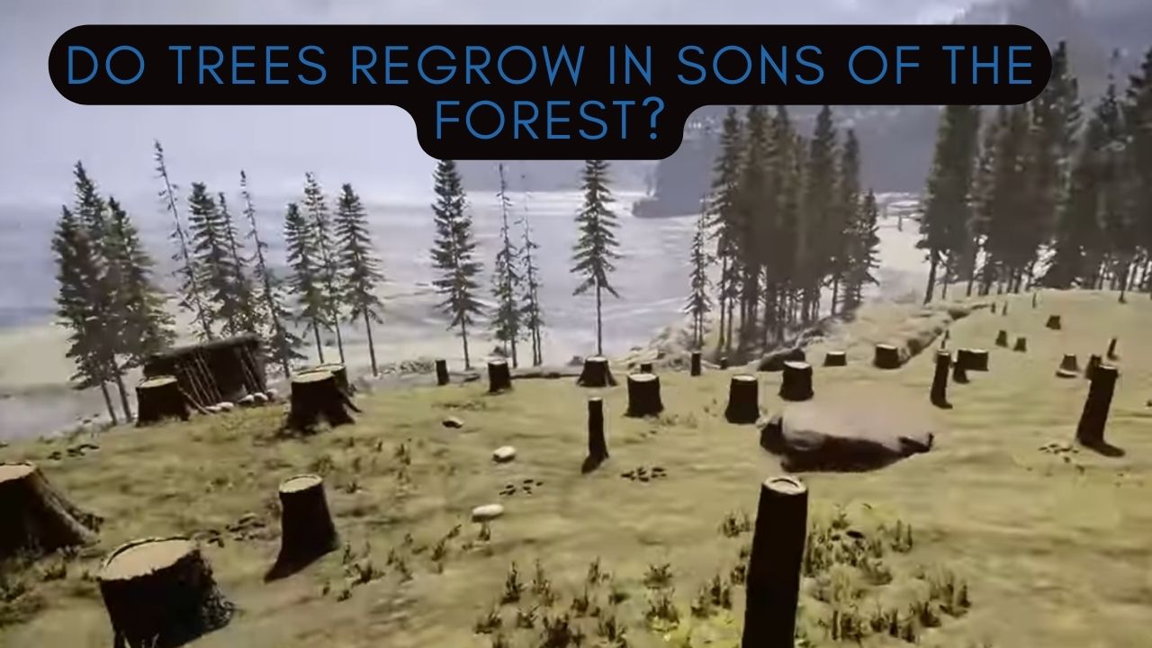 Do Trees Regrow In Sons Of The Forest? A Passionate Gamer‘s 