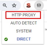 HTTP Proxy